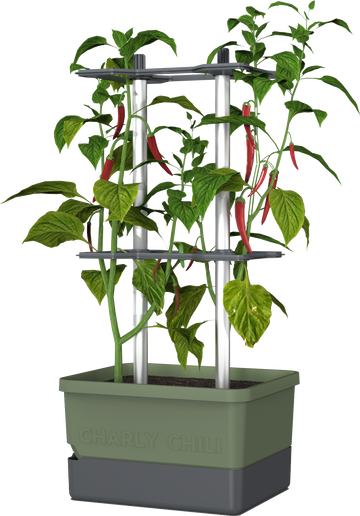 Gusta Garden - Charly Chili - Chiliplanten - Chiliplanter met watertank - Kweekbox - Kweektafel - Donkergroen