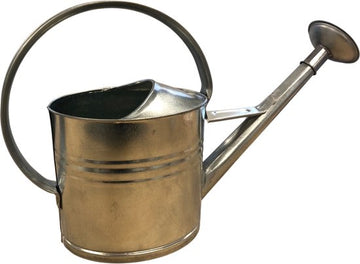 Dutchlander grote metalen verzinkte gieter met een inhoud van 10 liter en voorzien van broeskop.