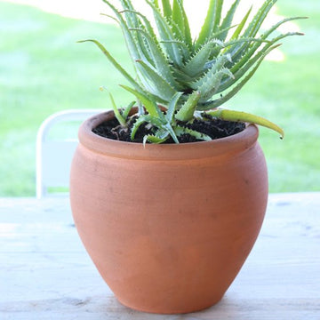 Traditionele Franse tuinpot – handgemaakt terracotta aardewerk – Ø 26,5 cm – hoogte 27 cm