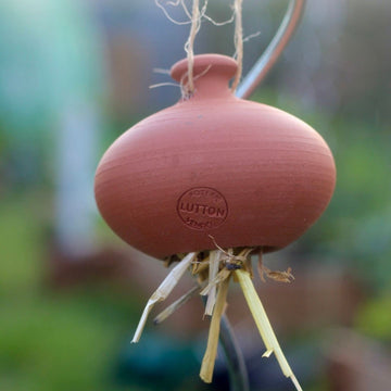 Dutchlander Oorwormpot - Cocon insectenhotel van terracotta – Tegen bladluizen – Handgemaakt in Frankrijk