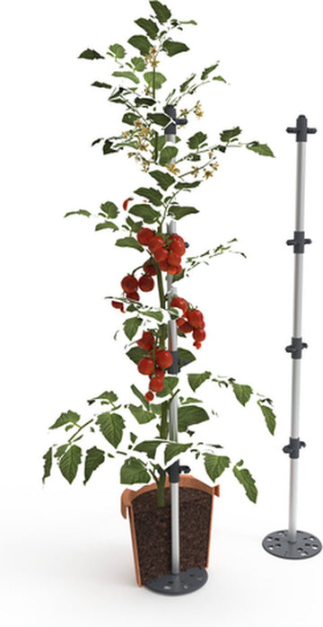 Plantensteun - tomatensteun - tomatenspiraal voor in pot - Tomato Buddy