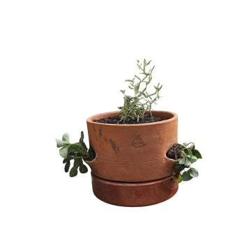 Dutchlander stapelbare kweekpot aardbeienpot terracotta 1 etage 28 cm rond vorstbestendig