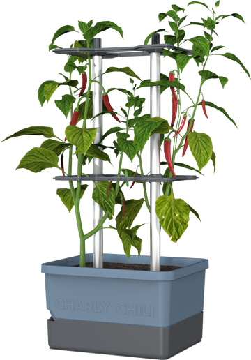 Gusta Garden - Charly Chili - Chiliplanten - Chiliplanter met watertank - Kweekbox - Kweektafel - Blauw